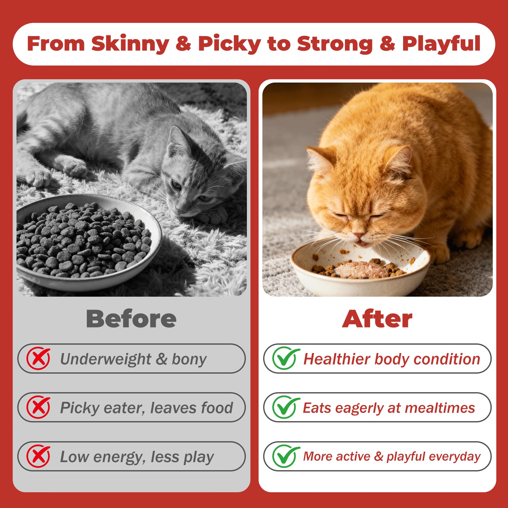 VivaElixir collagen blend supporting digestion and vitality in cat paste.
