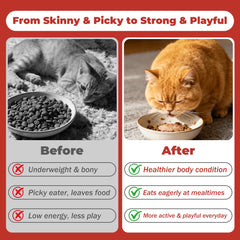 VivaElixir collagen blend supporting digestion and vitality in cat paste.