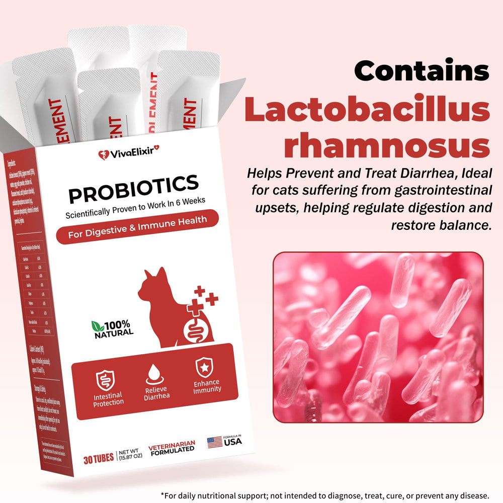VivaElixir cat probiotic gel being applied to meals