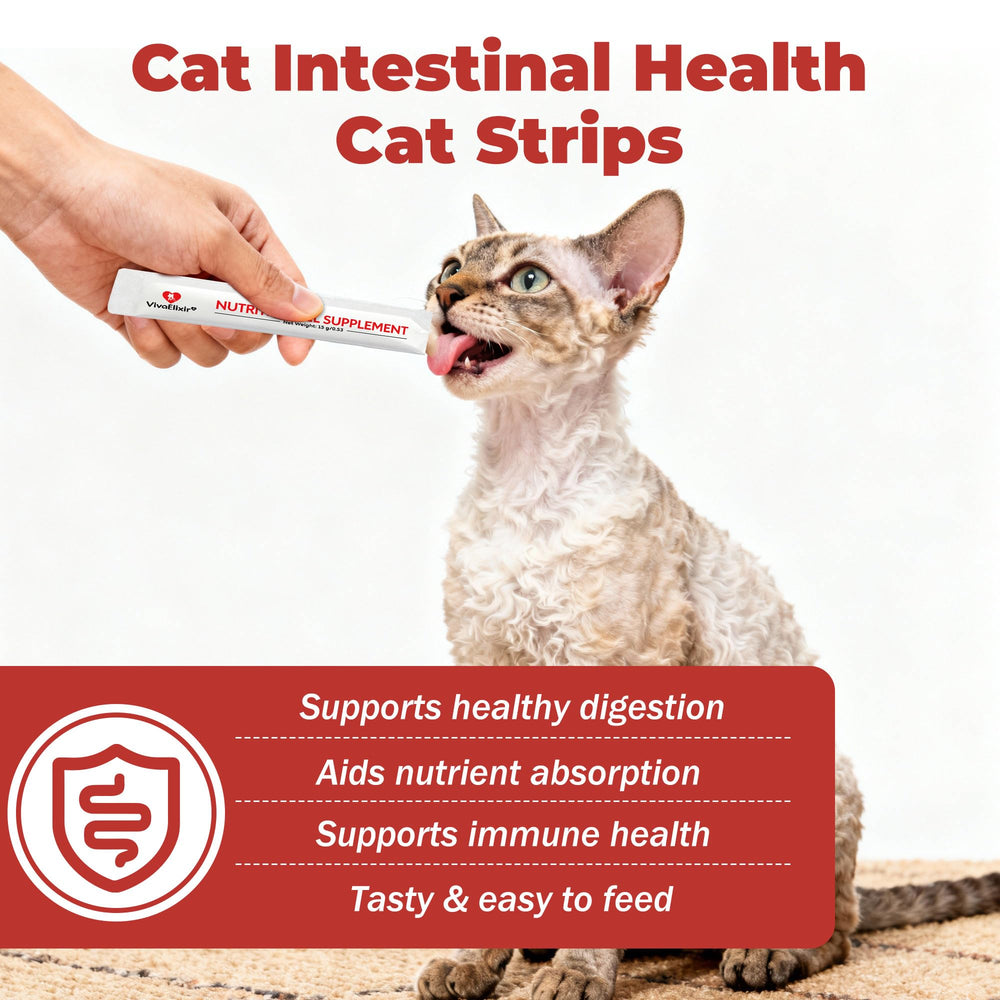 VivaElixir cat probiotic gel bottle pour showing mess-free administration