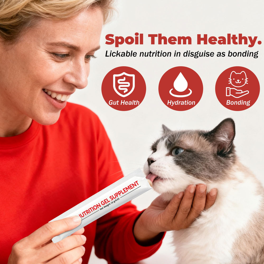 VivaElixir cat probiotic gel scene suggesting immune support via gut health