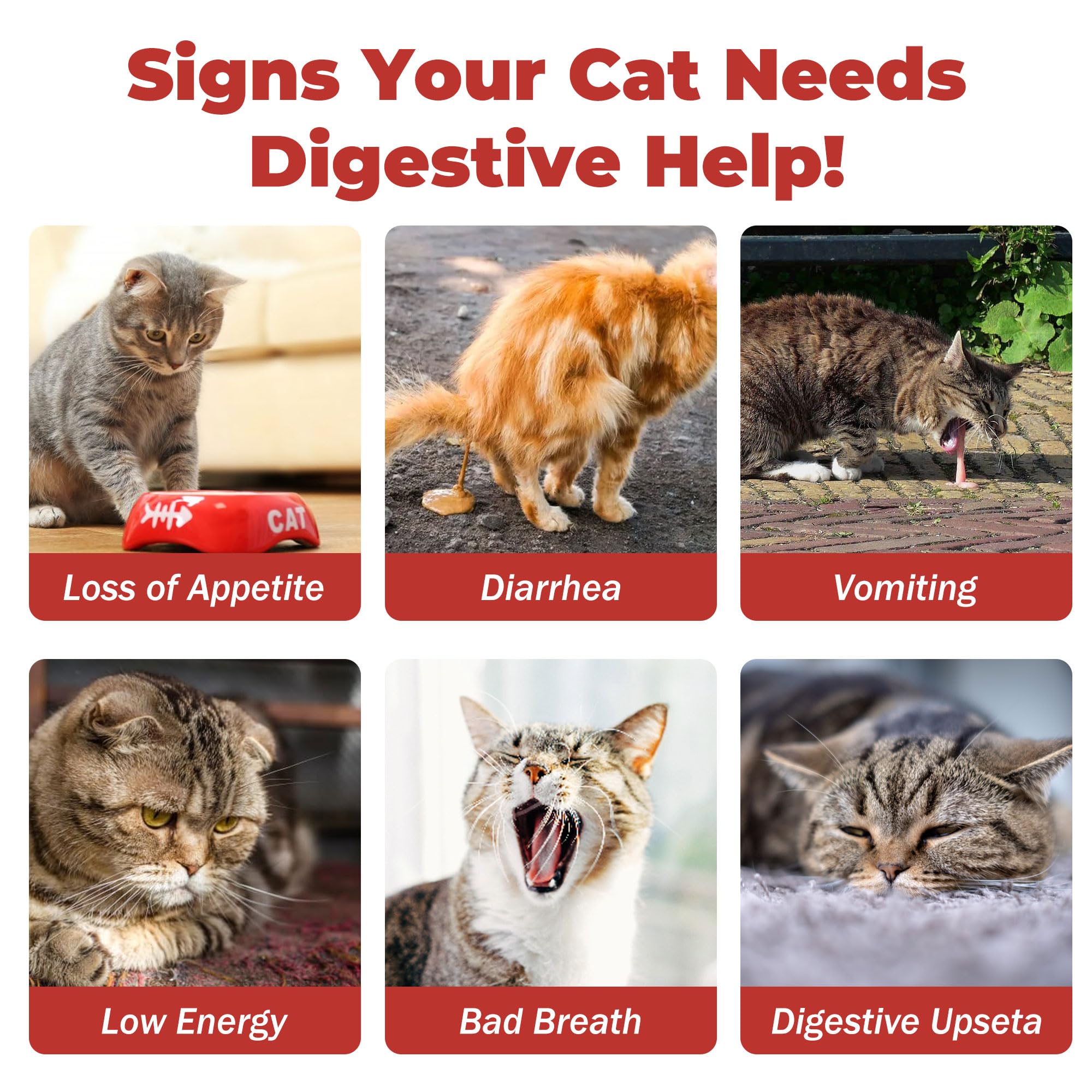 VivaElixir cat probiotic gel suitable for kittens and adult cats