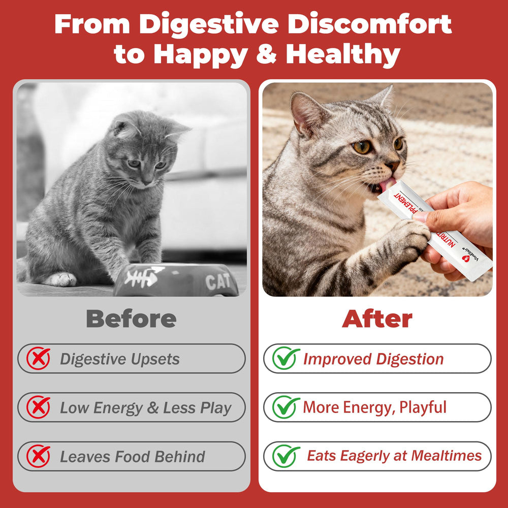 VivaElixir cat probiotic gel lickable texture that cats enjoy