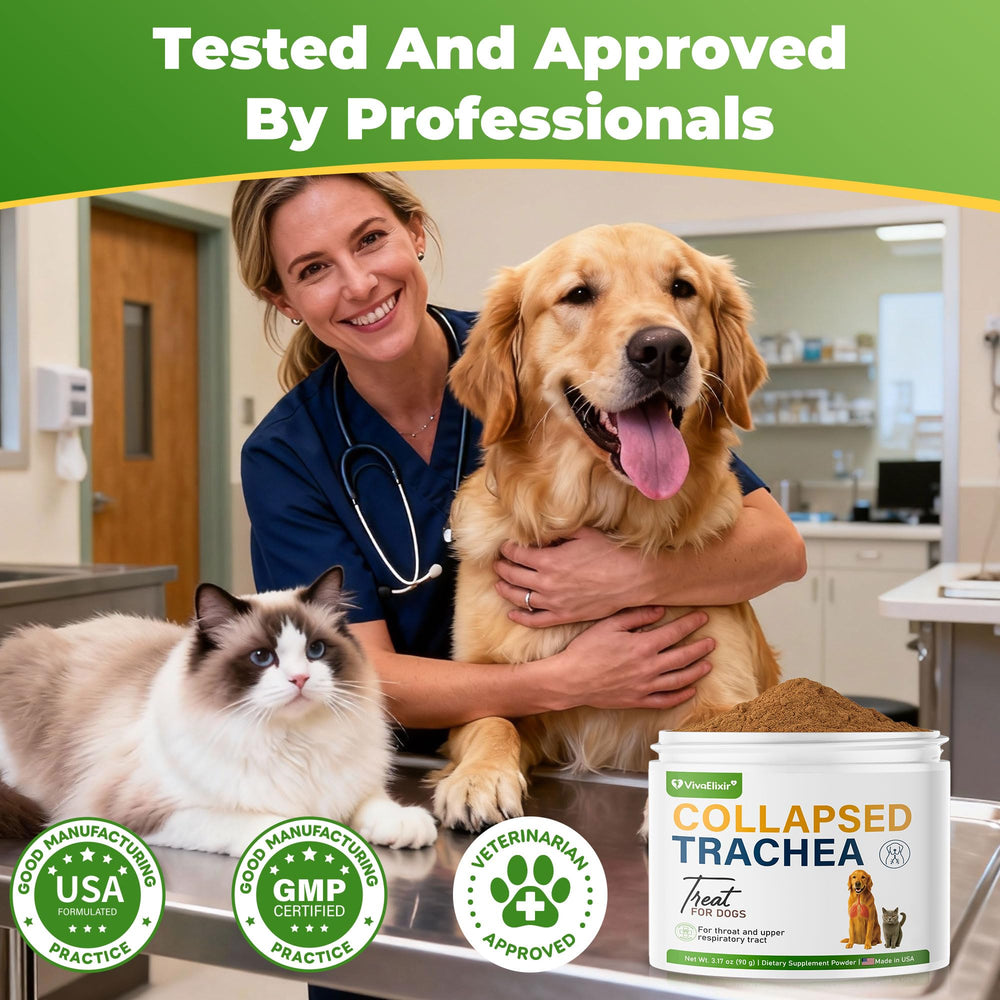 VivaElixir daily-dose administration guide helps pet owners dose confidently.