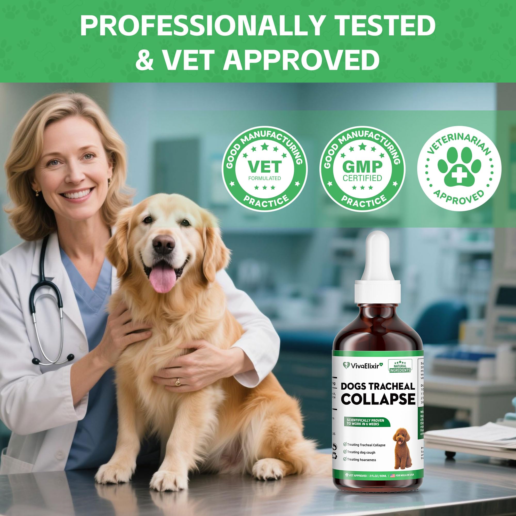 VivaElixir Dog care scene with drops conveys ease of daily usage.