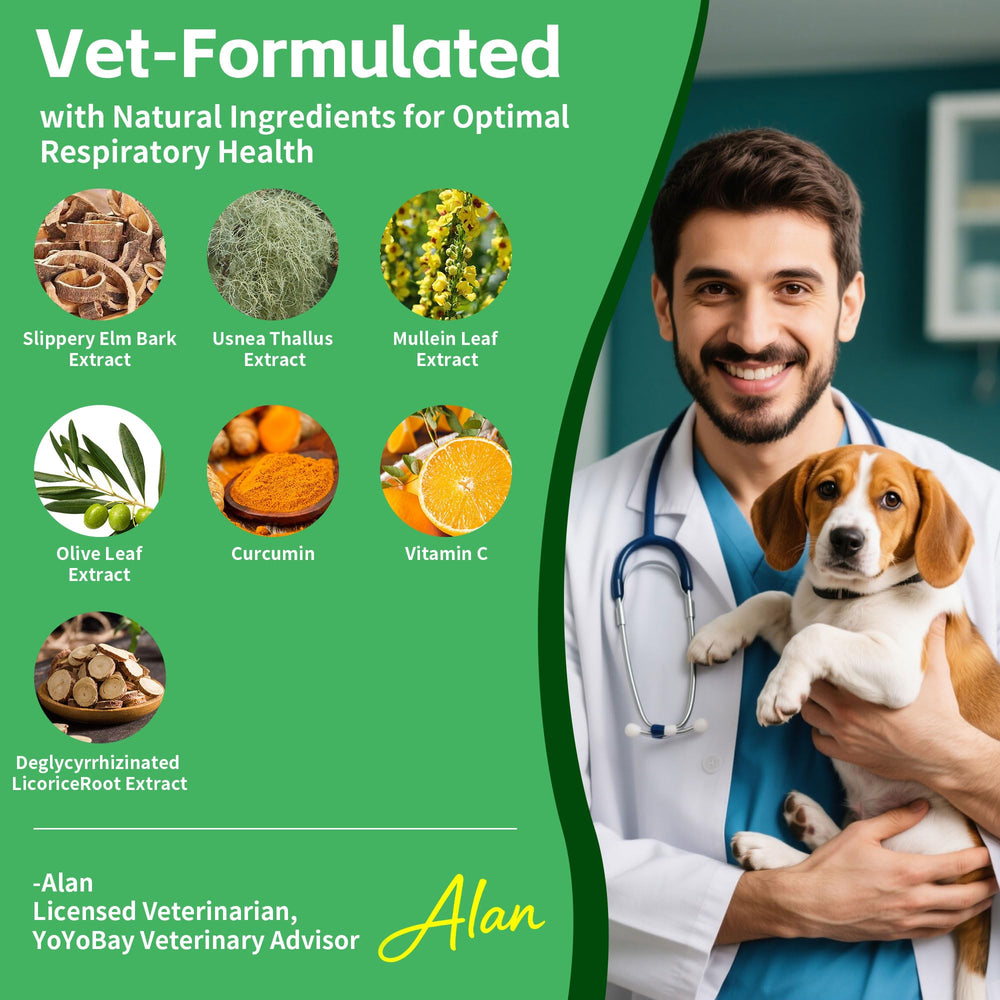 VivaElixir Drops measuring dropper highlights quick-dose administration for picky eaters.