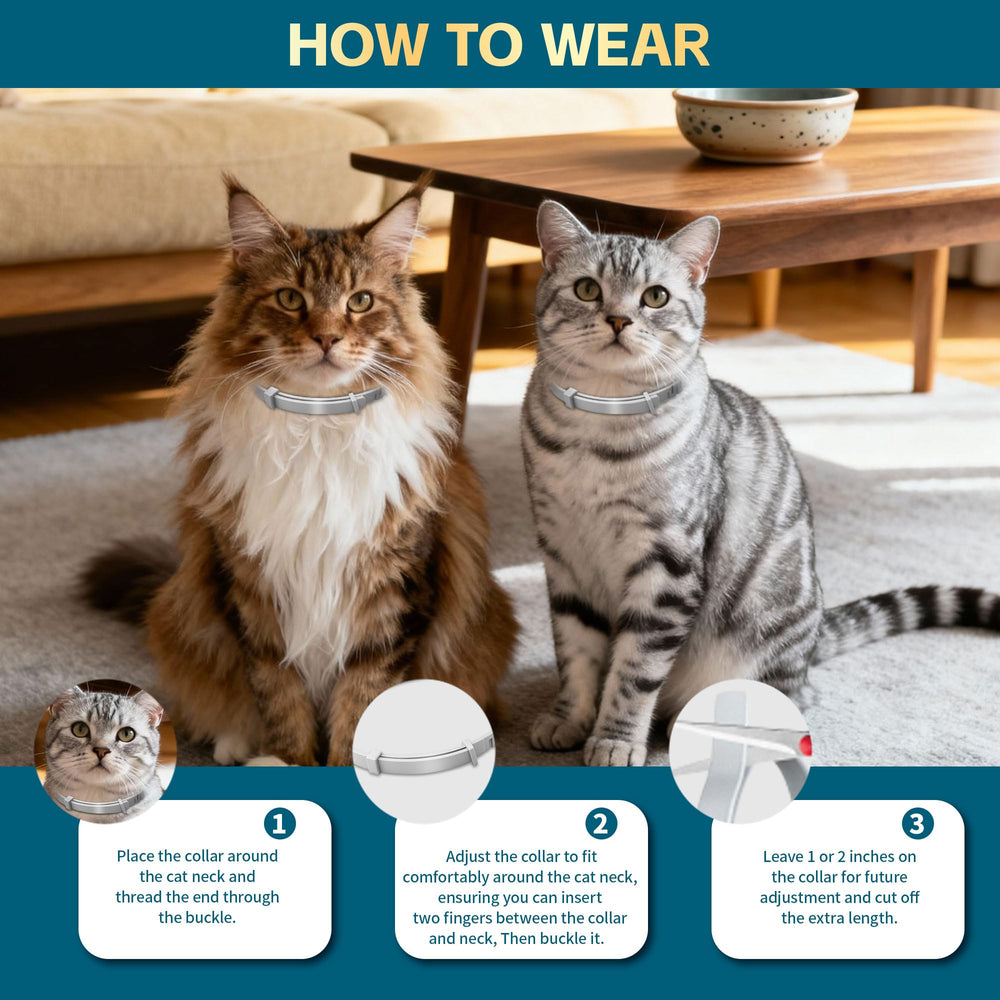 VivaElixir eight-month collars inside tin for travel-ready protection.