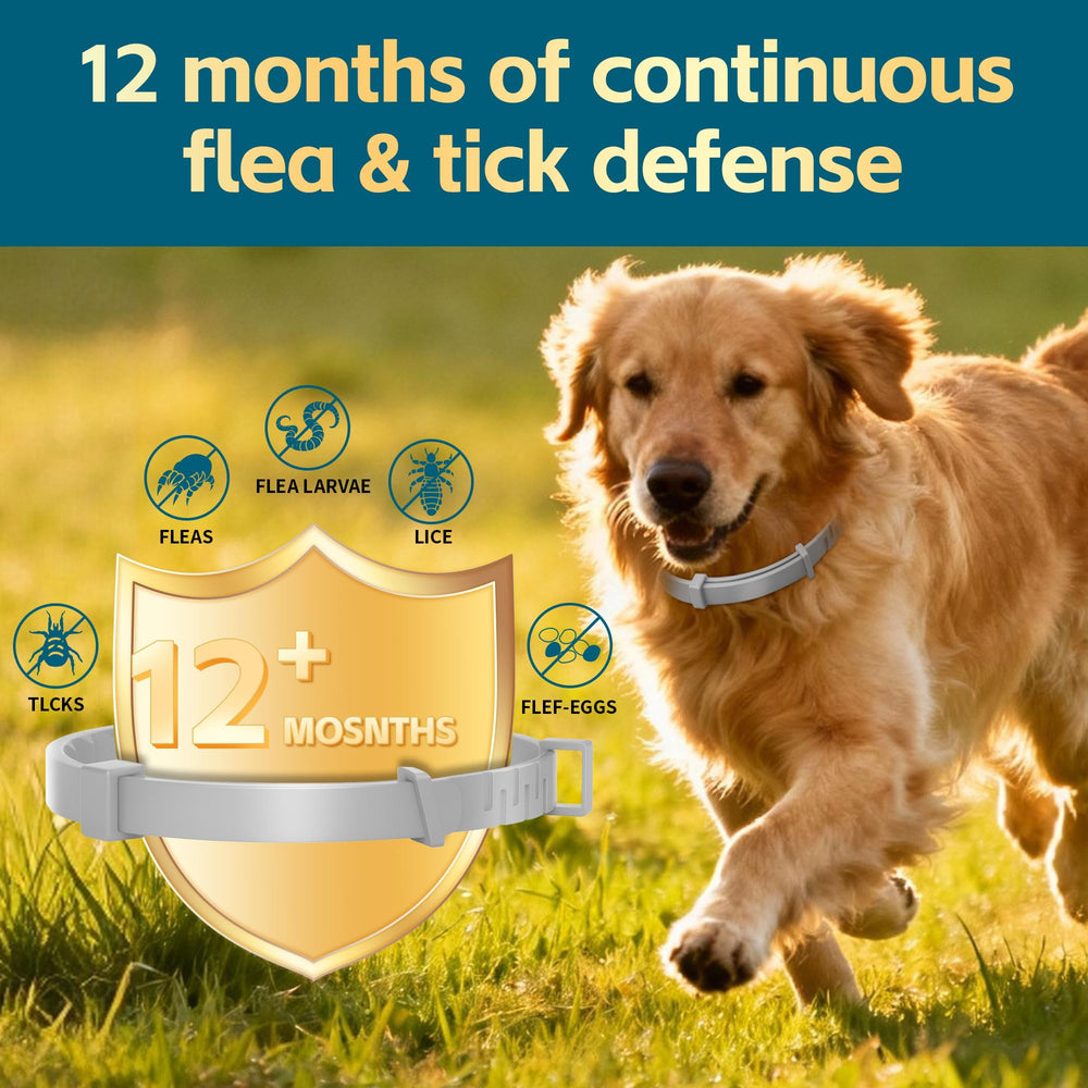 VivaElixir flea collar close-up—natural ingredients visible for safe, gentle repellent