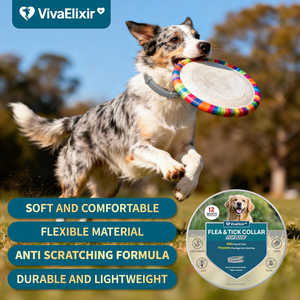 VivaElixir flea collar natural ingredients—gentle protection for dogs and families