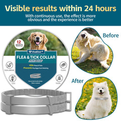 VivaElixir flea collar packaging tin—two collars ready for long-lasting protection