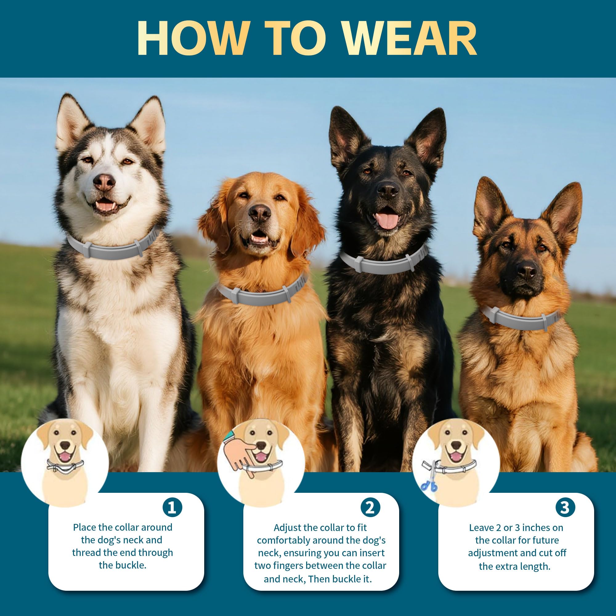 VivaElixir flea collar waterproof test—wearable during swimming and baths