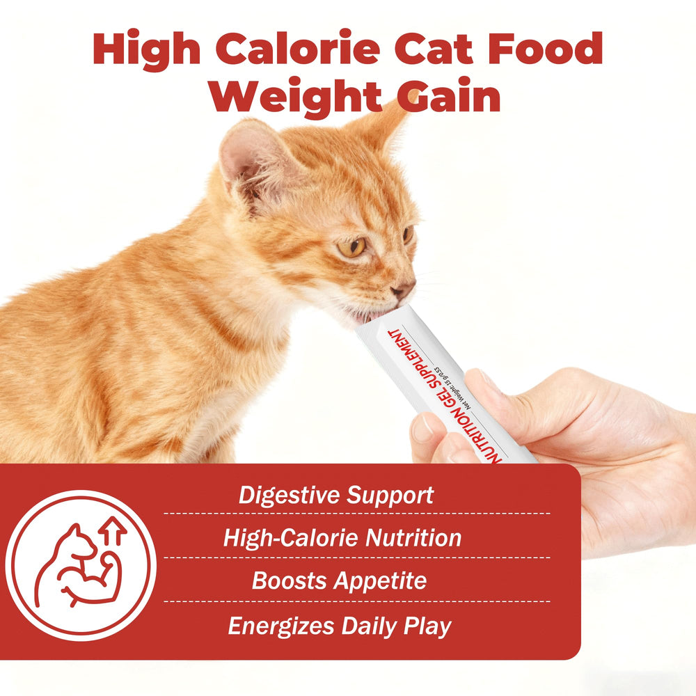 VivaElixir nutrition paste bars in close-up for weight support and appetite exploration.