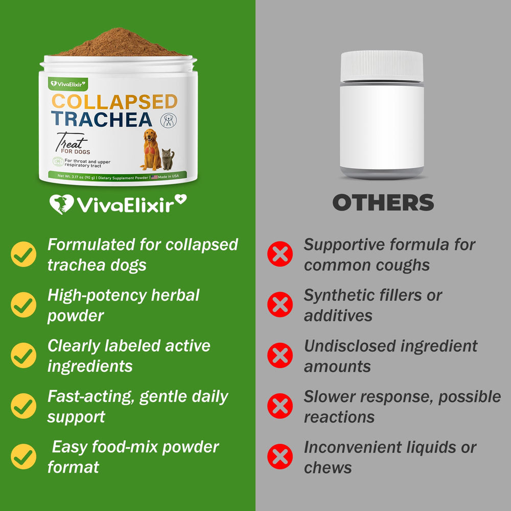 VivaElixir immune-support ingredients image for seasonal resilience in dogs.