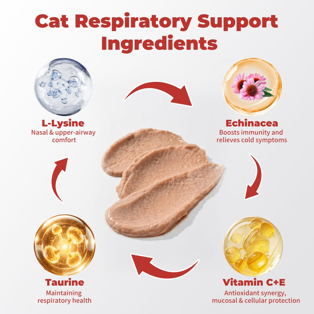 VivaElixir Lysine for Cats nasal comfort imagery suggests clearer breathing.