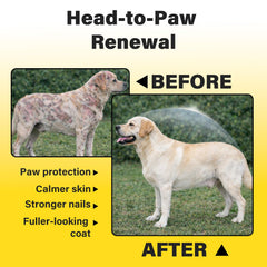 Dog paws and nails appear stronger with VivaElixir Melatonin.