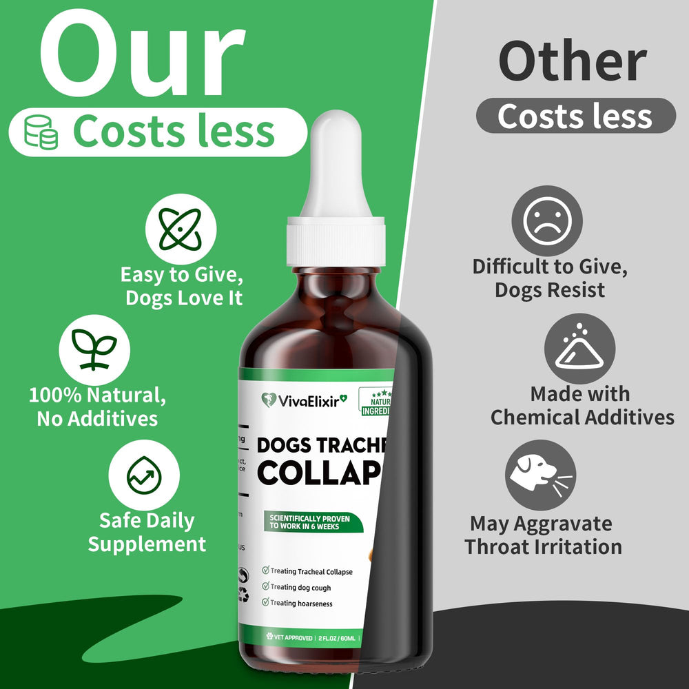 VivaElixir Mullein leaf close-up signals respiratory support and mucus loosening potential.