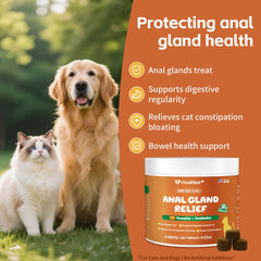 VivaElixir pumpkin-probiotic dual-action chews promote fiber and gut balance.