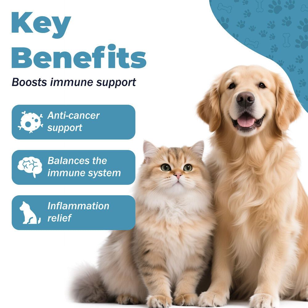 VivaElixir quercetin bromelain dog chews closeup highlights fast itch relief potential