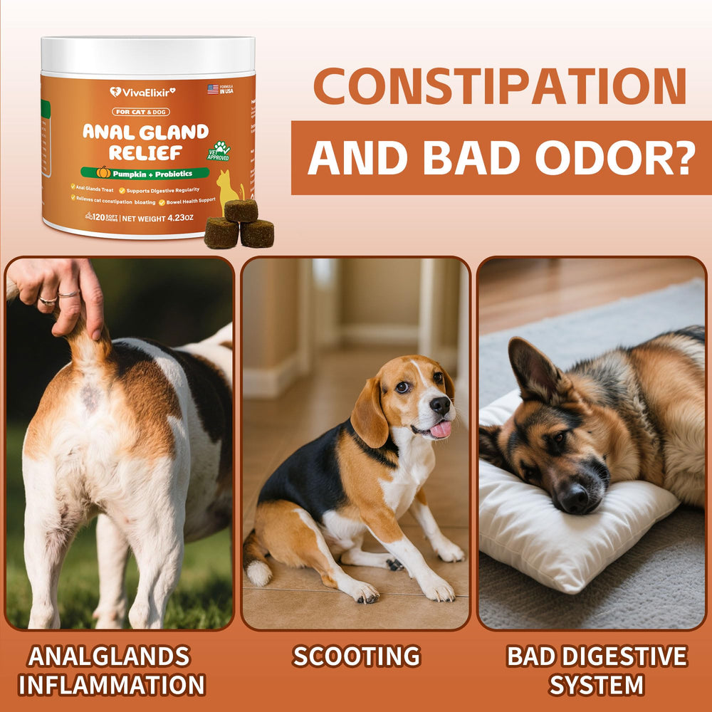 VivaElixir regular-bowel-movements soft chews illustrate predictable digestion for cats.