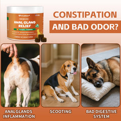 VivaElixir regular-bowel-movements soft chews illustrate predictable digestion for cats.