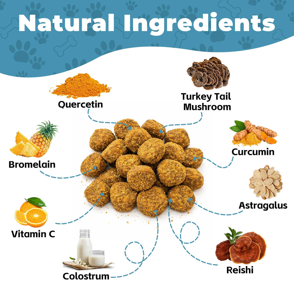 VivaElixir turkey tail mushroom dog immune support image suggests natural immune help