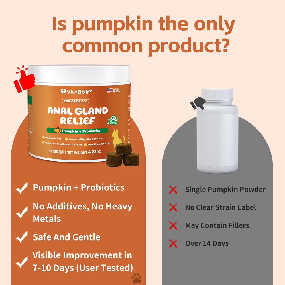 VivaElixir vet-approved-daily-use chews reassure guardians about consistent gut wellness.