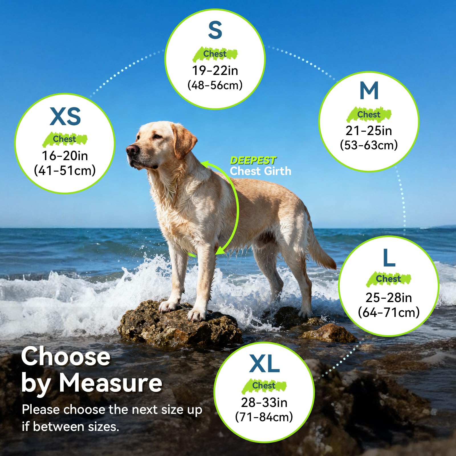 VIVAGLORY dog wearing life vest in water during activity