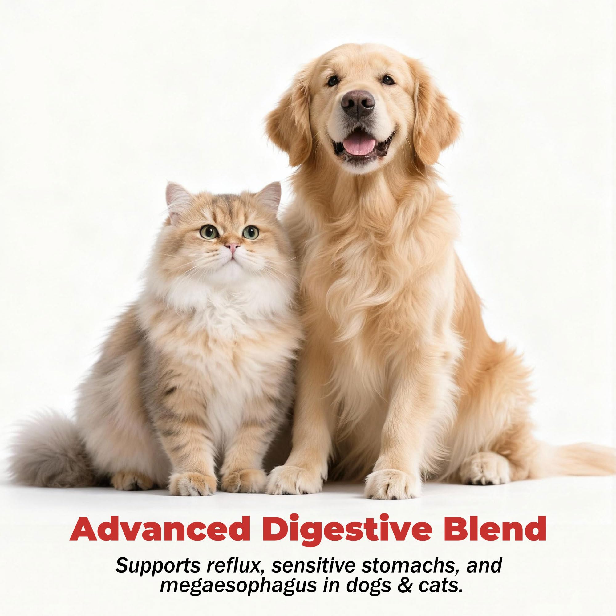 Close-up of VivaElixir label emphasizing USA-made vet-formulated formula