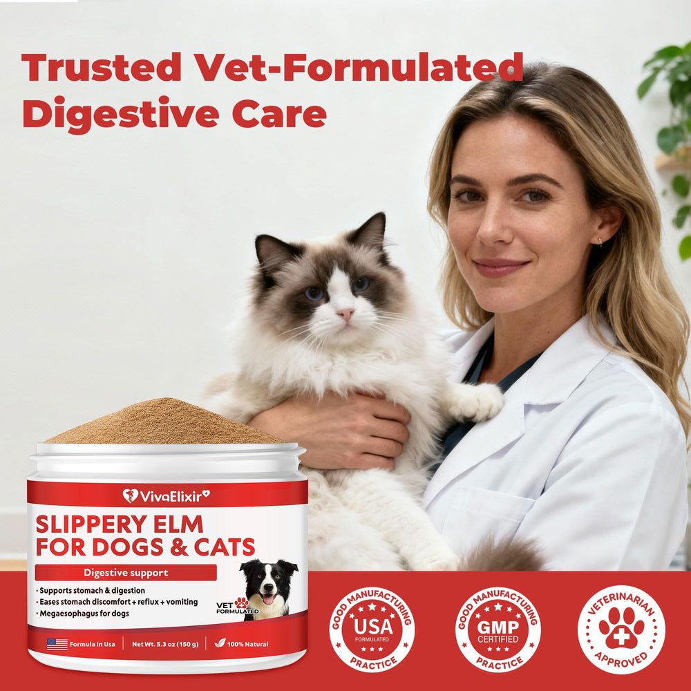 Bottles and bowls of VivaElixir slippery elm powder during mealtime prep