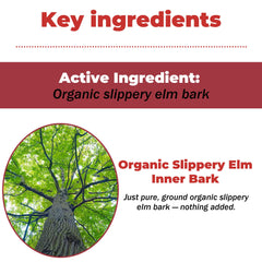 Measuring spoon with VivaElixir slippery elm powder for pet meals