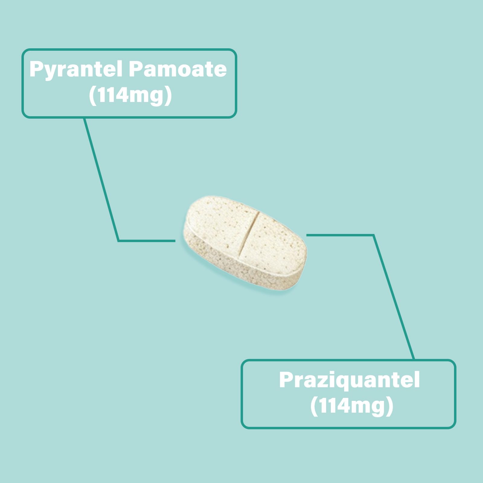 VivaElixir 50-tablet bottle for mid-to-large dog regimens.