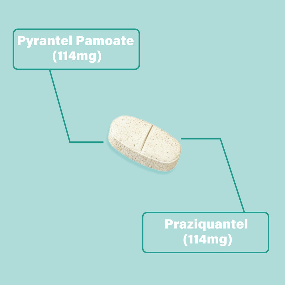 VivaElixir 50-tablet bottle for mid-to-large dog regimens.
