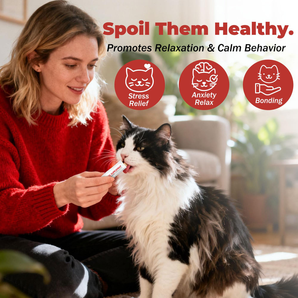 VivaElixir Cat Calming Treats used in daily routine for relaxation.