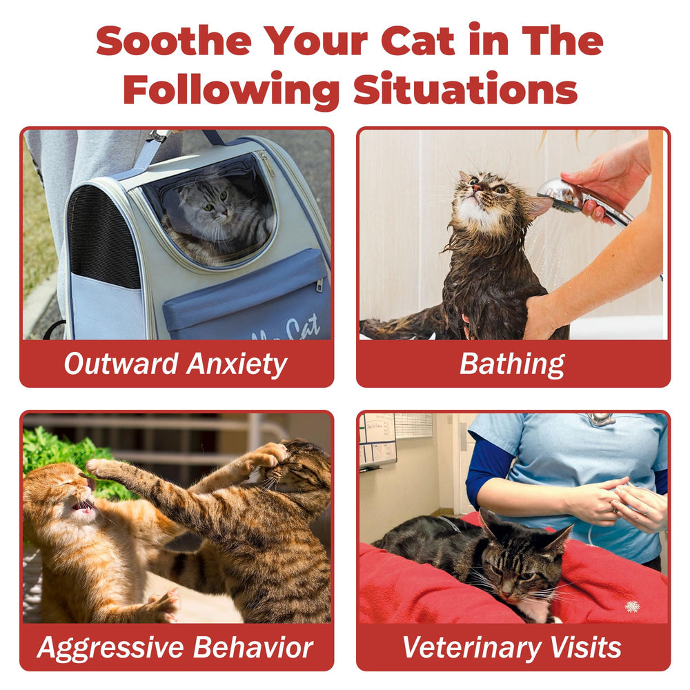 VivaElixir Cat Calming Treats scene during loud events for calm moments.