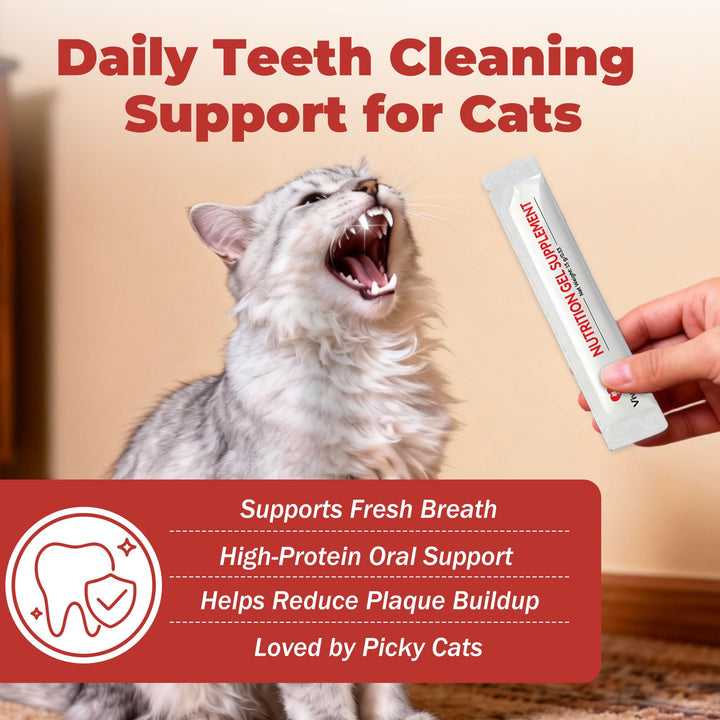 VivaElixir cat dental care gel teeth-closeup showing plaque control in routine care.
