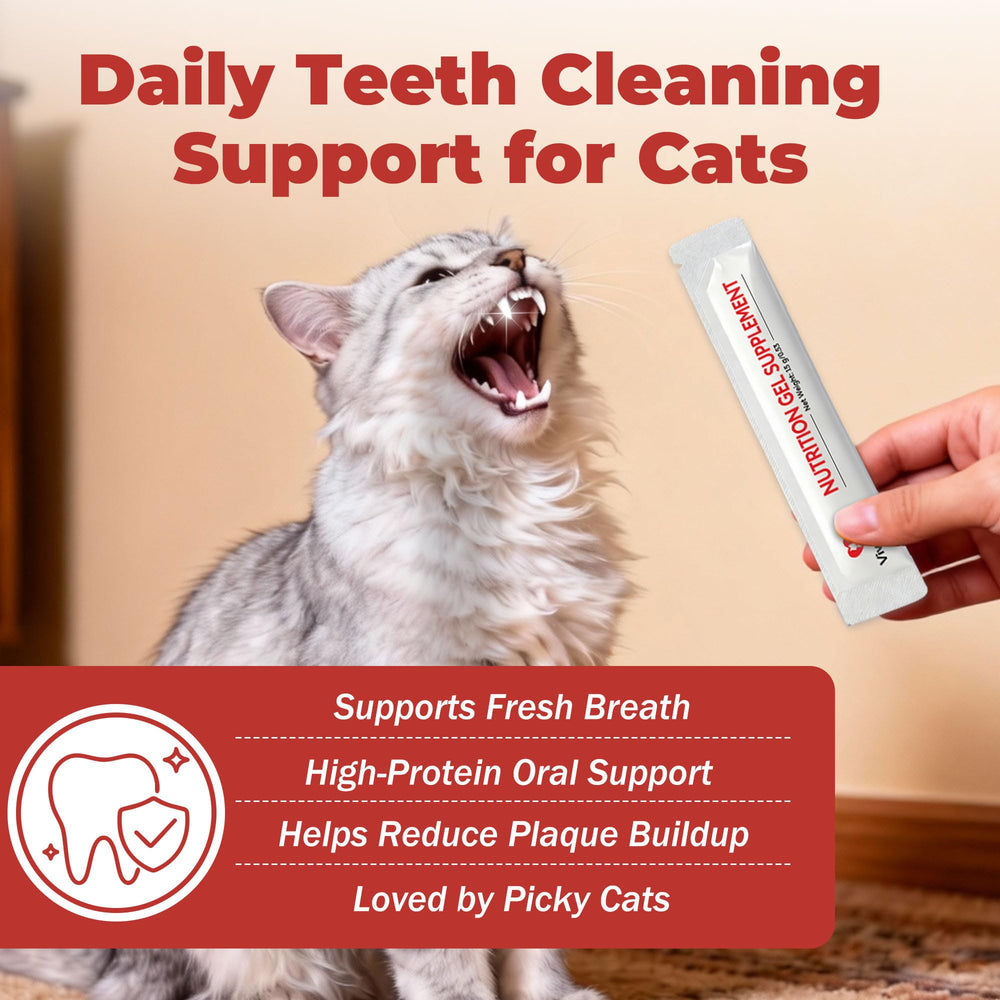 VivaElixir cat dental care gel teeth-closeup showing plaque control in routine care.