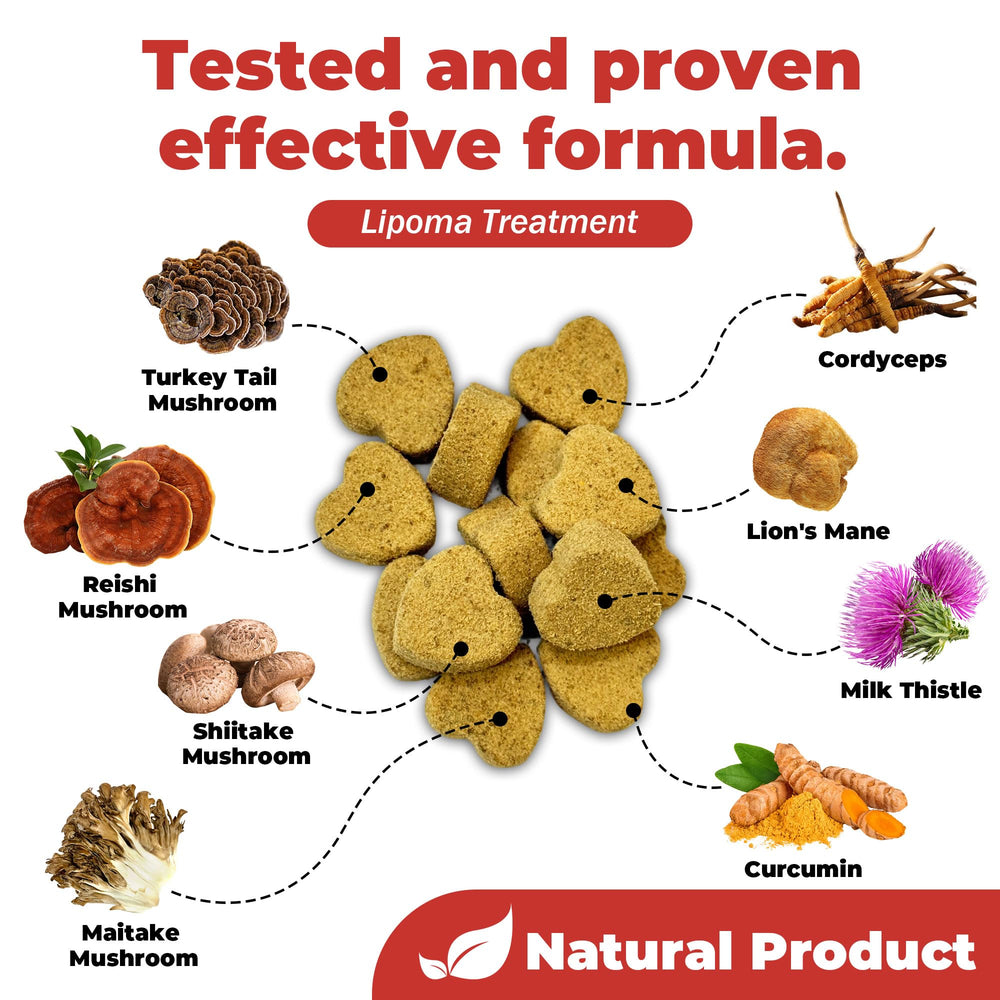 VivaElixir immune-support mushrooms chews featuring six-mushroom blend
