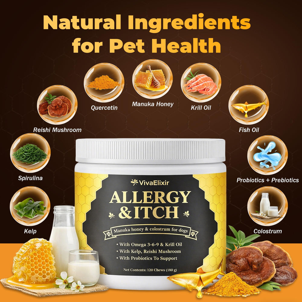 VivaElixir Manuka Honey for Dogs chews being given by owner for easy routines