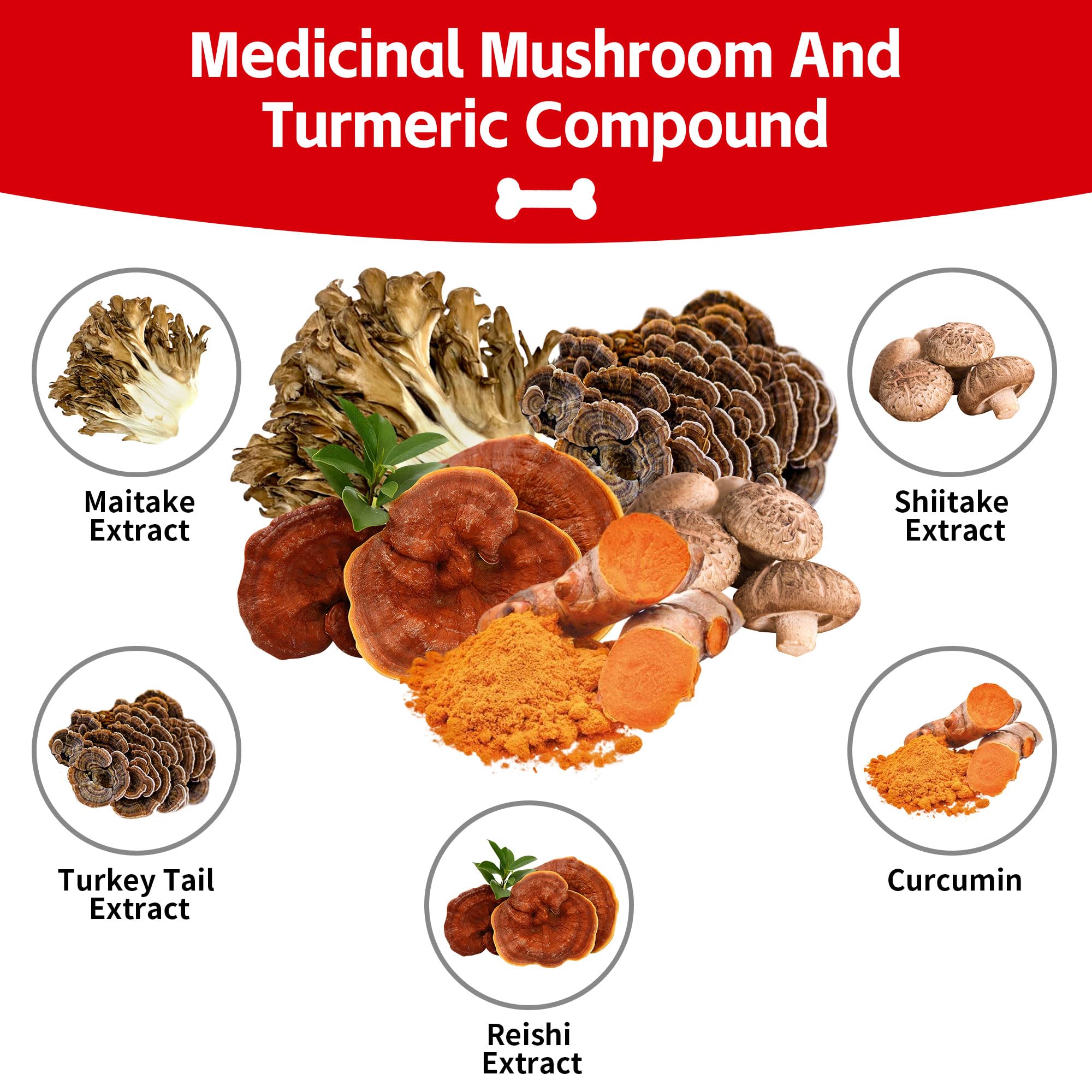 VivaElixir Mushroom Powder scoop measures a daily portion for easy use