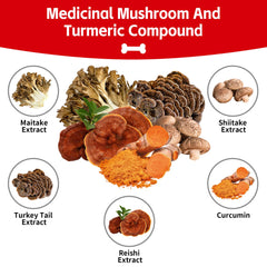 VivaElixir Mushroom Powder scoop measures a daily portion for easy use