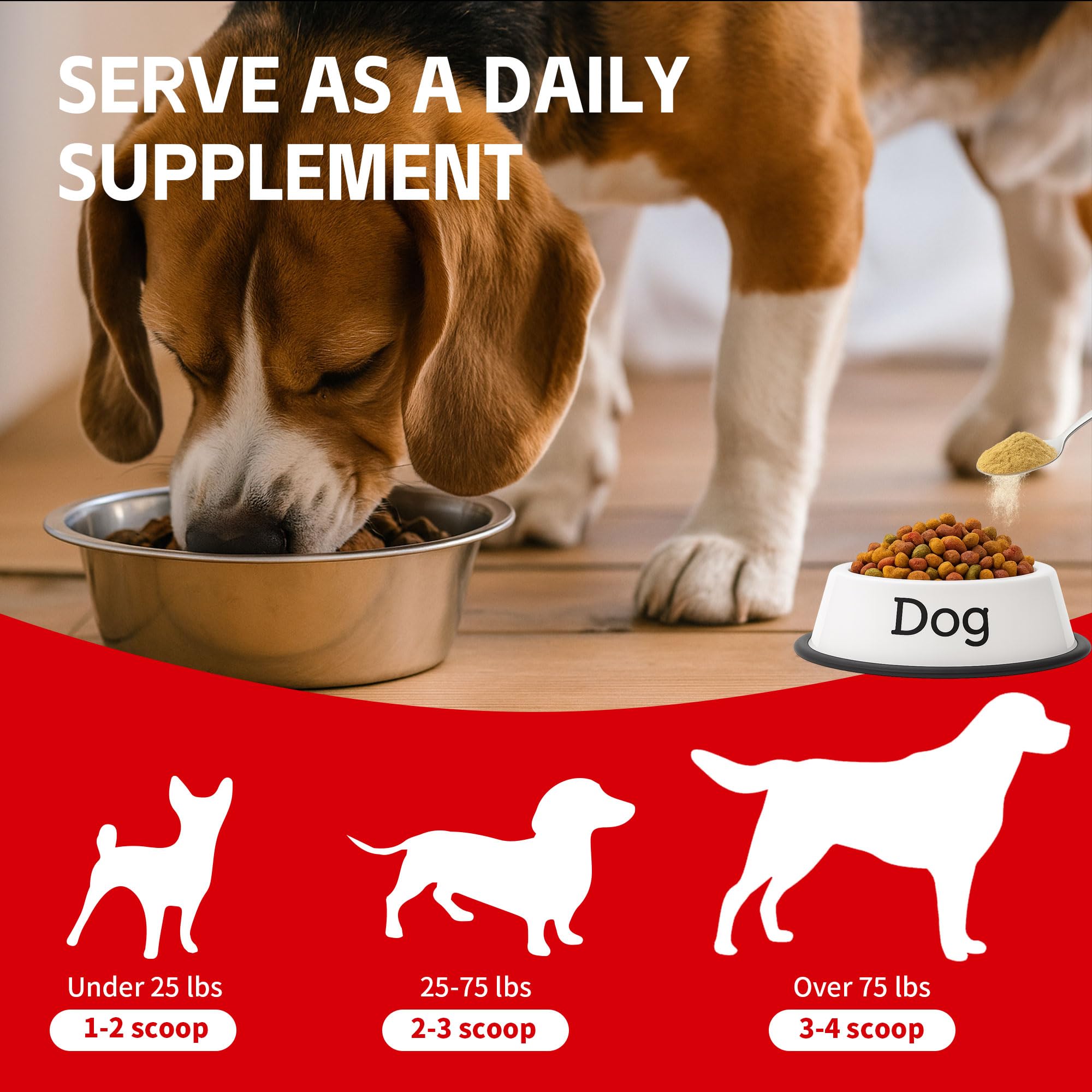 VivaElixir Mushroom Powder spoon demonstrates precise scooping for consistent use