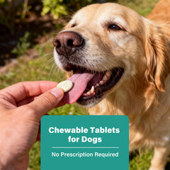 VivaElixir packaging shows dosing guidance for dogs over 25 pounds.