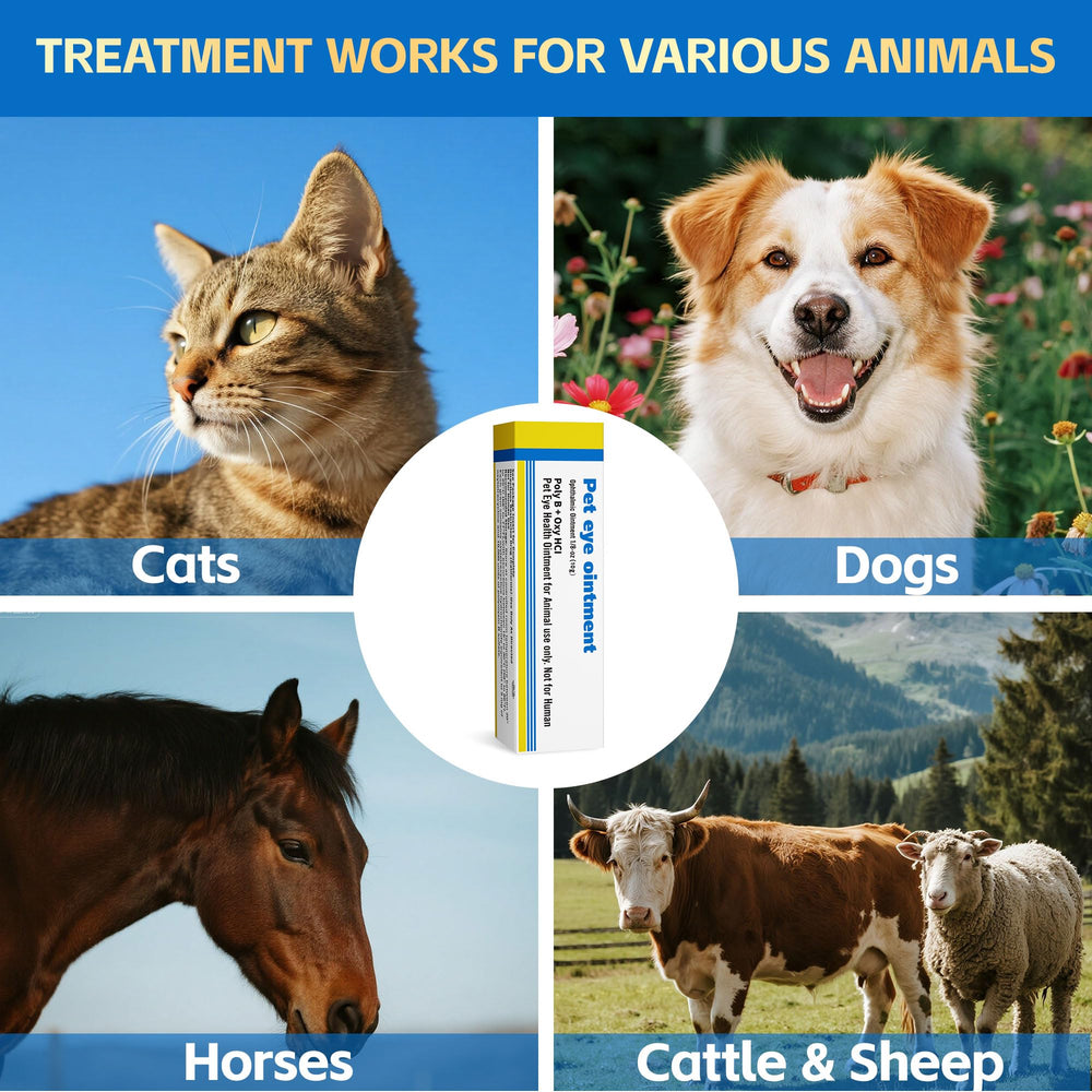 VivaElixir Pet Eye Health label highlights freshness for reliable care.