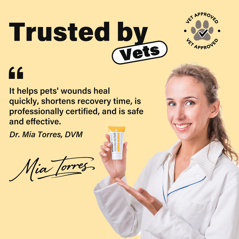 Ointment applied to dog's skin showing soothing relief