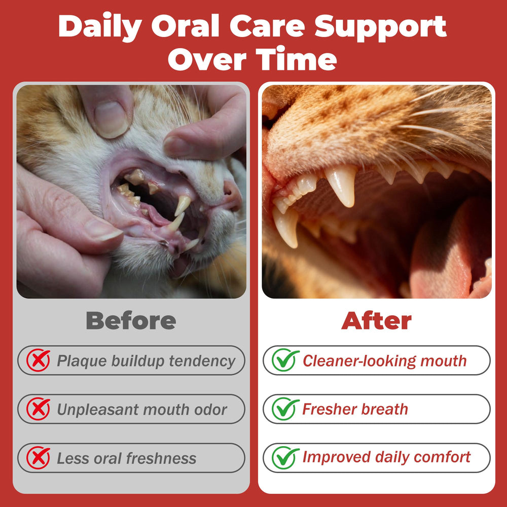 VivaElixir soft-gel-treat presents gentle delivery for easy daily dental care.