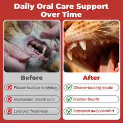 VivaElixir soft-gel-treat presents gentle delivery for easy daily dental care.