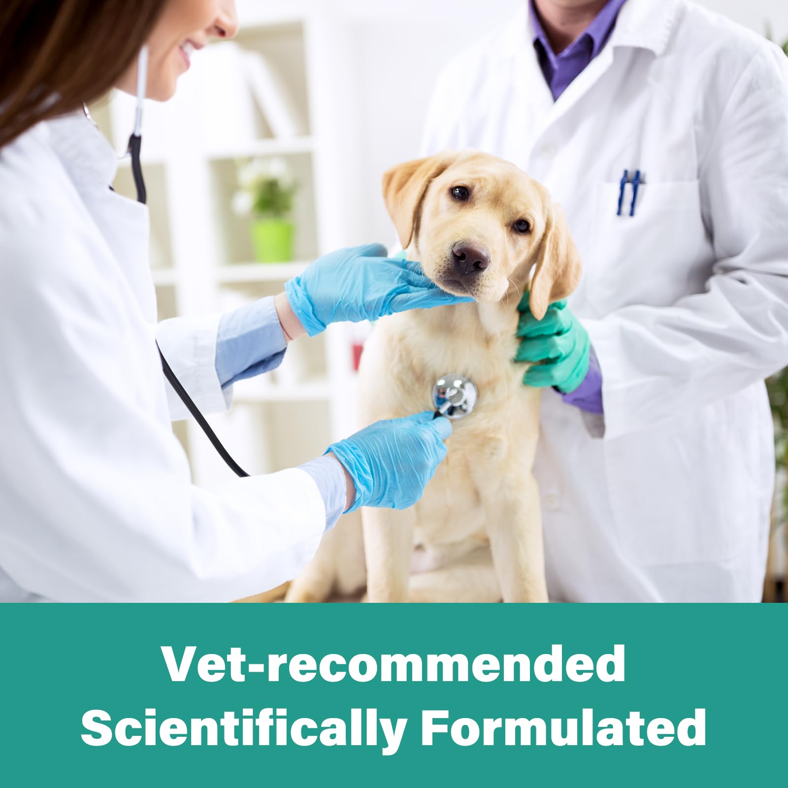 VivaElixir vet-approved label emphasizing safety and GMP standards.