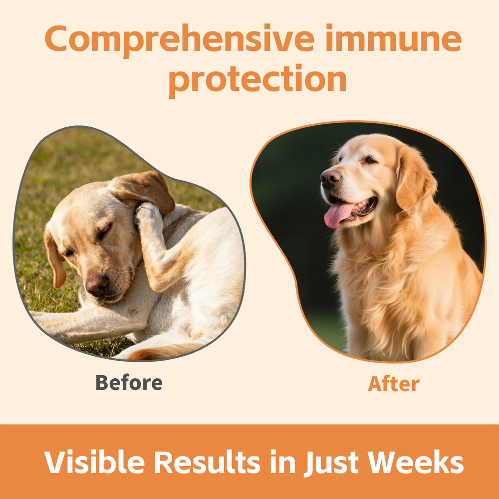 VivaElixir vet recommendation seal indicating professional support