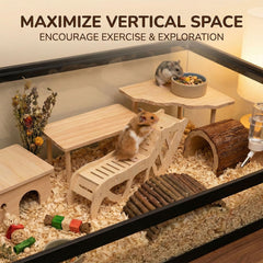 Viventwave 3in1 enrichment demonstrates multi-level play for small pets.