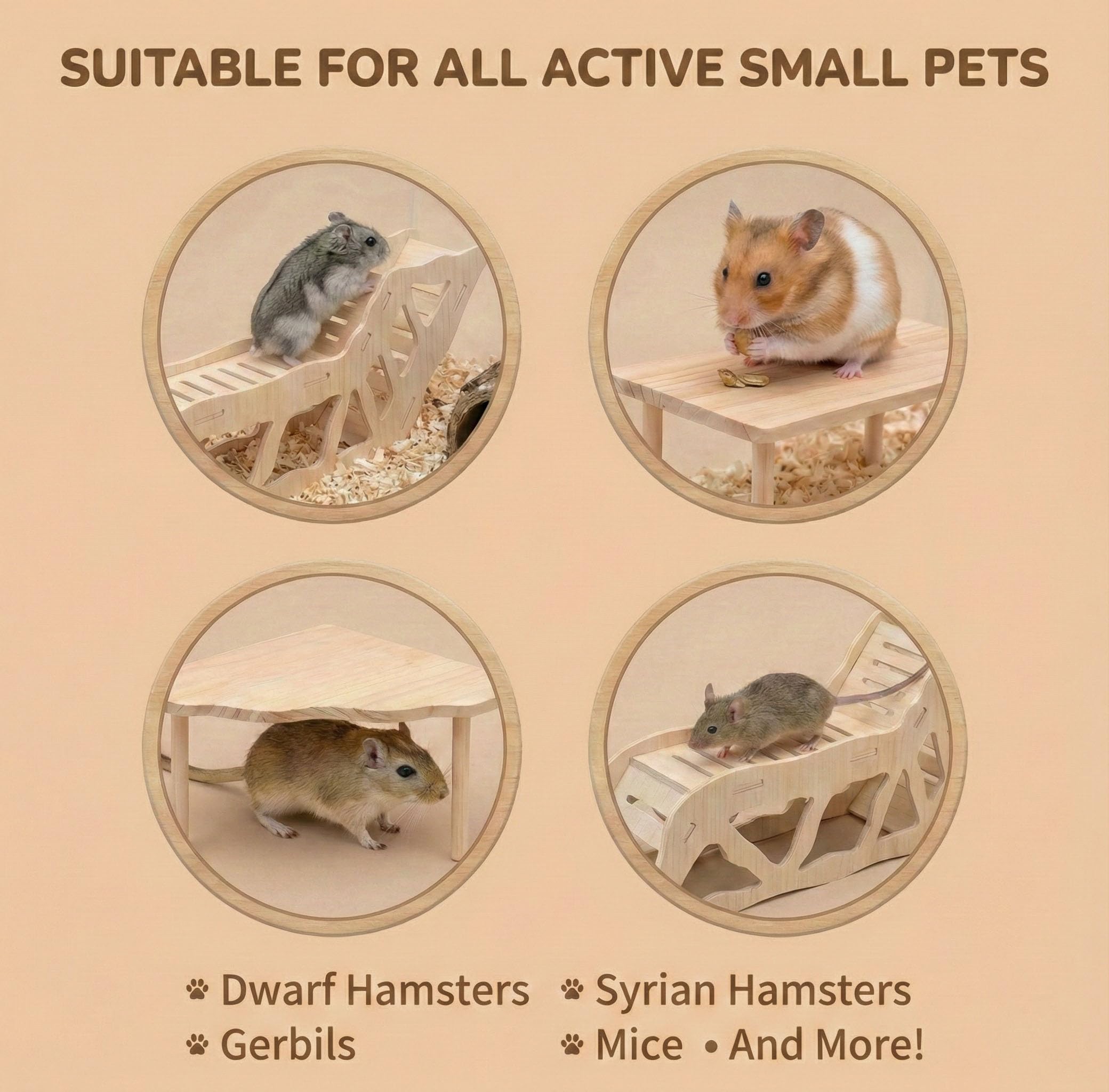 Viventwave enrichment play demonstrates an instant setup for dwarf hamsters.